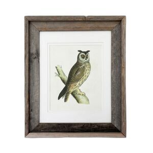 1821 Antique Prideaux John Selby Long-Eared Owl Woodcut Drawing Wood Framed Art